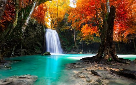 Beautiful Tropical Rainforest Waterfalls