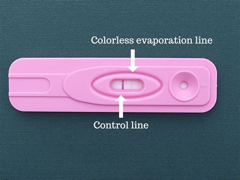We did not find results for: What Is A Evaporation Line On A Pregnancy Test ...