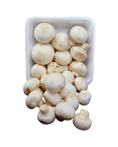 Champignon de paris / white button mushroom (bqt). Champignon Paris 200g - Cogumelo de Campo