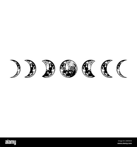 Lunar Phases Vector Moon Surface Isolated Cosmic Silhouette Vector