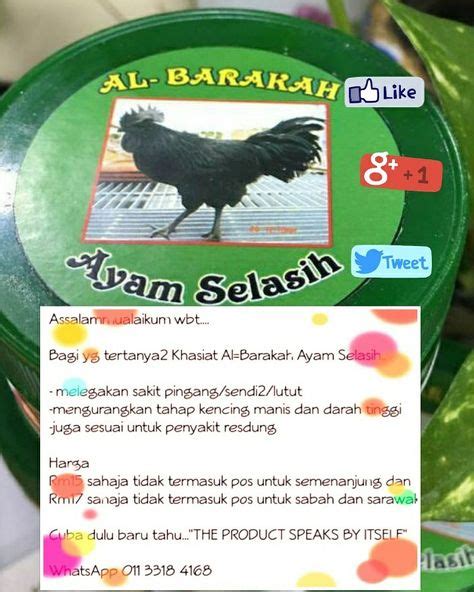Wilayah suriah/ al barakah (hasaka). 7 AL-BARAKAH AYAM SELASIH(maajun) ideas | kuala lumpur ...