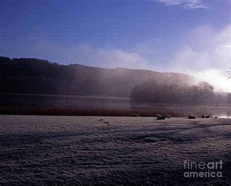 Misty Frosty Winter Morning Esthwaite Water Lake District Cumbria