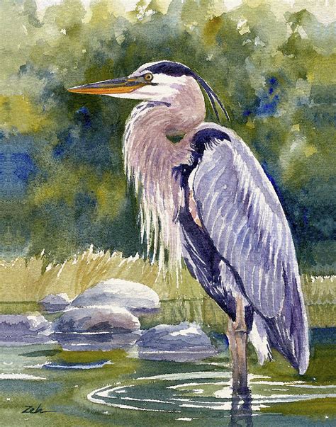 Great Blue Heron In A Stream Painting By Janet Zeh Fine Art America