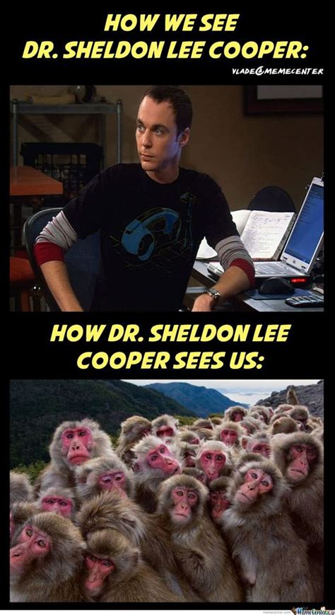 25 Savagely Funny The Big Bang Theory Memes That Will Make