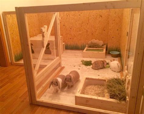 De 20 Bedste Idéer Inden For Indoor Rabbit Cage På Pinterest Kaniner