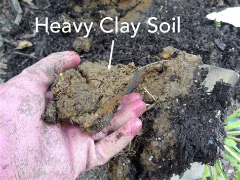 3 Steps For Fixing Clay Soil Harmony Hills Home And Garden