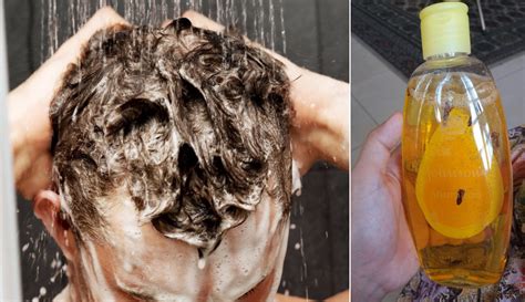 Apakah penyebab rambut gugur setiap hari dan apakah cara merawat keguguran rambut? Letak Bunga Cengkih Dalam Syampu, Cara Mudah Elak Rambut ...