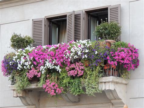 40 Window And Balcony Flower Box Ideas Photos Home Stratosphere