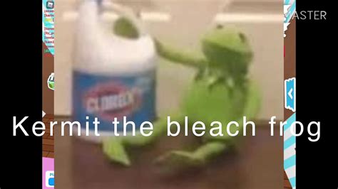 Kermit Likes Bleach Most Annoying Audio Me And My Cousins Screaming