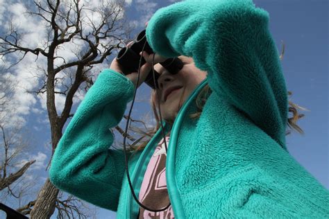 Top keywords % of search traffic. Bird Watching | Gracie Creek Cabin at Calamus Lake