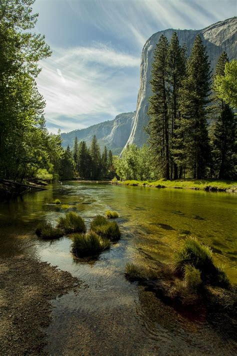 The Merced River In Yosemite Scenery National Parks Merced River