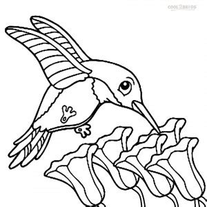 Hope you enjoyed learning about and coloring this incredible bird through this printable collection of hummingbirds coloring pictures. Printable Hummingbird Coloring Pages For Kids | Cool2bKids
