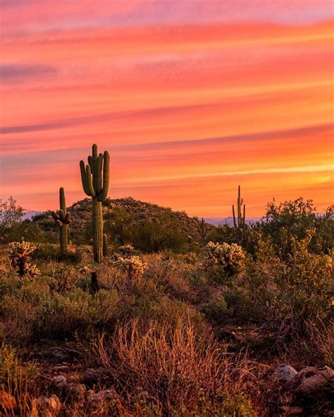 Sunset in Arizona | Desert sunset, Arizona sunset, Desert sunrise