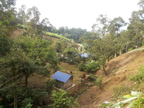 Sungai congkak recreational forest şehrindeki en yüksek puanlı kiralık tatil yerleri. Dusun Buah Hulu Langat - Ejen Hartanah | Tanah Untuk ...