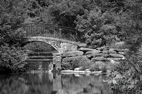 Water Under The Bridge Photograph By Audrey Wilkie Fine Art America