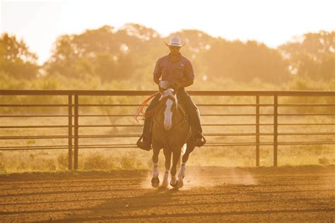 Stallion Incentives Fuel Rope Horse Market The Team Roping Journal