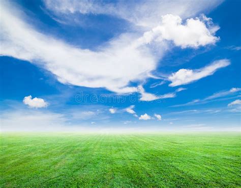 Field Of Green Grass And Blue Sky In Sunny Day Stock Photo Image Of