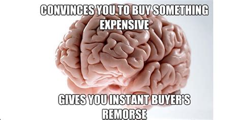 Buyers Remorse Memes You Will Identify With If You Regret The