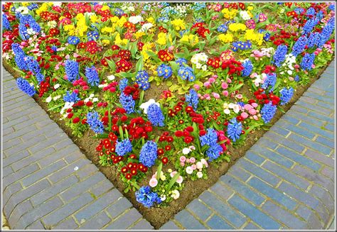 Triangular Shaped Flower Bed With A Selection Of Colour Flickr