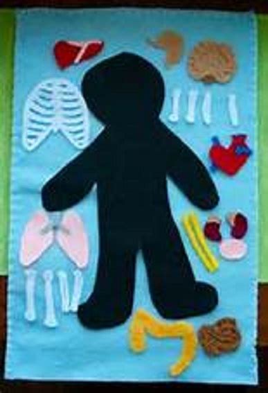 Human Body Craft Activity For Kids Preschool Crafts