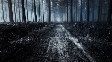 Dark Forest Road Wallpapers Top Free Dark Forest Road Backgrounds