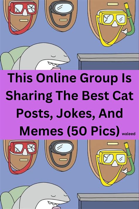 This Online Group Is Sharing The Best Cat Posts Jokes And Memes 50 Pics