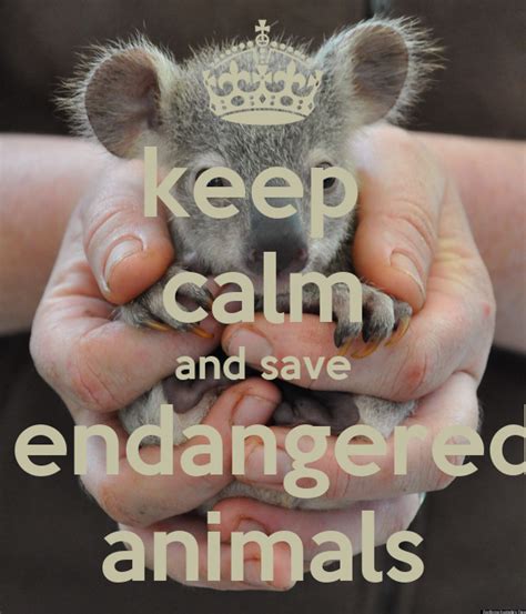 Keep Calm And Save Endangered Animals Poster Oscar Keep Calm O Matic