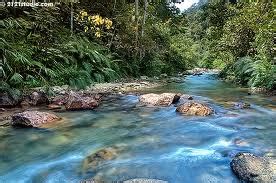 Tetapi mungkin kita perlu berhenti menunggu tindakan dari pemerintah. sains di sekeliling kita: Kempen 'CINTAILAH SUNGAI KITA'