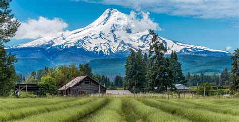 Things To Do In Mt Hood Hikes Attractions And Itinerary
