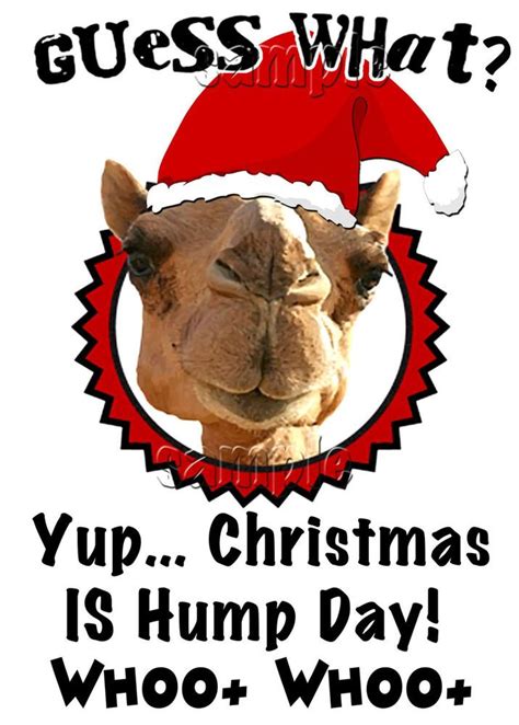 Для просмотра онлайн кликните на видео ⤵. 1000+ images about Caleb the GEICO Camel on Pinterest | Tv ...