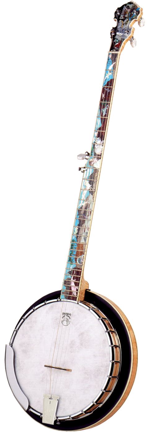 Deering Banjosaurus Long Neck Banjo Jim Laabs Music Store