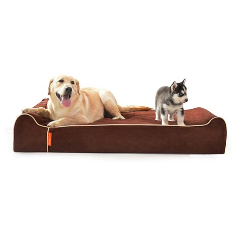 Laifug Orthopedic Memory Foam Extra Large Dog Bed With Pillow And Dura