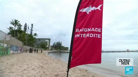En Nouvelle Calédonie La Campagne D Abattage Des Requins Fait Débat Outre Mer