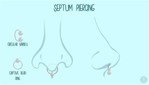 7 Popular Types Of Nose Piercings And Their Corresponding Jewelry Because