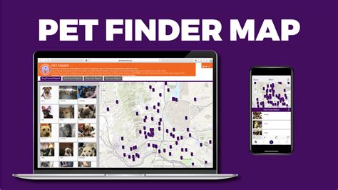 Lost or Found a pet? Our Pet... - El Paso Animal Services | Facebook