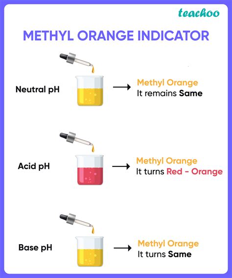 Acid Base Indicators All Types List With Examples Teachoo