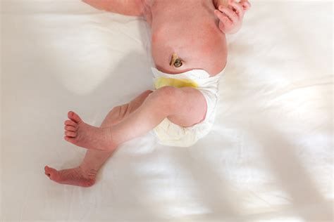 What Happens To Babys Umbilical Cord After Birth Pregnancy And Newborn