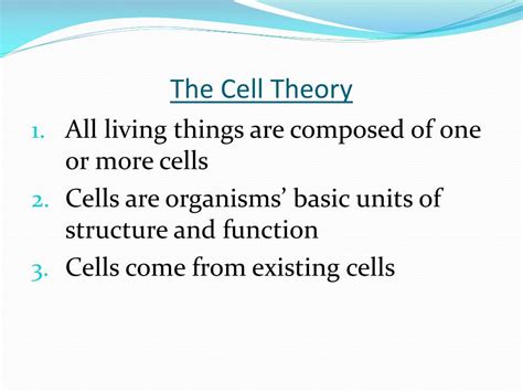 Ppt The Cell Theory Powerpoint Presentation Free Download Id2816290