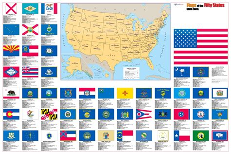 Flags Of The 50 Us States Wall Map Poster 36x24