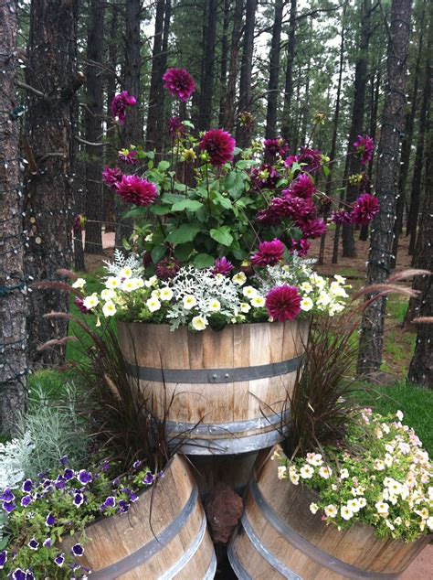 Maybe you would like to learn more about one of these? Container Flower Garden - Most Beautiful Gardening Flowers ...