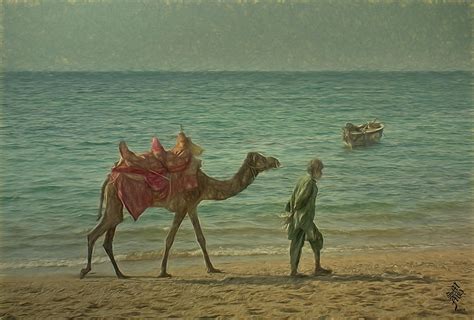 Arabian Sea Digital Art By Syed Muhammad Munir Ul Haq