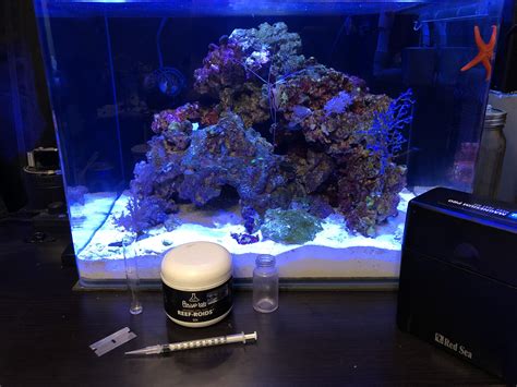 I Have A Confession Im Addicted To Roids I Need Help Reeftank