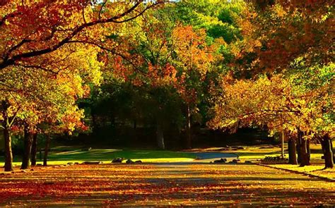 Oklahoma Fall Foliage And Festivals Oklahomas