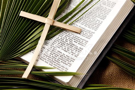 Palm Sunday Bible Passage And Symbols Stock Photos