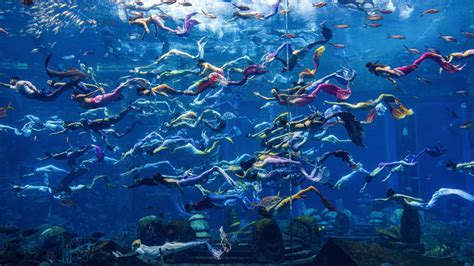 Atlantis Mermaid World Record In Sanya Grabs Global Attention