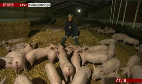 Carol Kirkwood Blasts Steph Mcgovern After Being Compared To Pigs