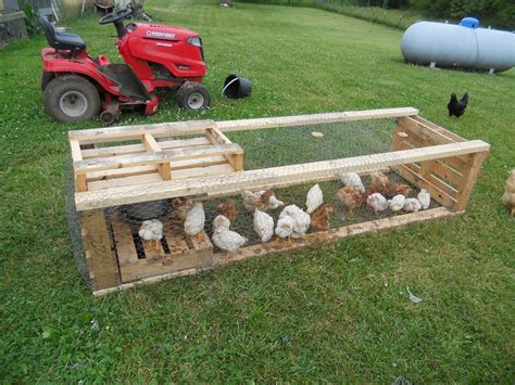 Chicken Coop Made of Pallets | yard and of course i used some of the