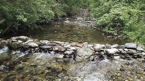 Small Dams In Small Creeks Can Have Big Consequences News