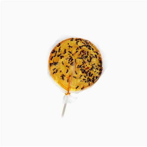 Orange And Ants Lollipops Discovering Delicious Edible Insects Candies