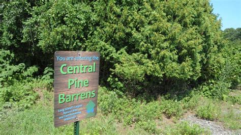 Long Islands Pine Barrens A Treasure Worth Protecting Newsday